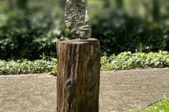 IMG_2149_weich-hinten_Wotan_1000