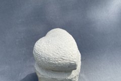 IMG_2520_1000